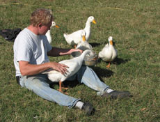 Son mari Jörg est très calme, gentil et attentif aussi. L'ambiance est extrêmement paisible et familiale.